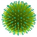 ANTI-VIRUS
